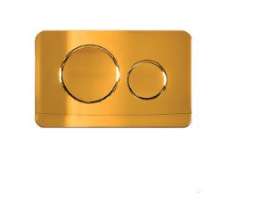 کلید طلایی مدل پلنت